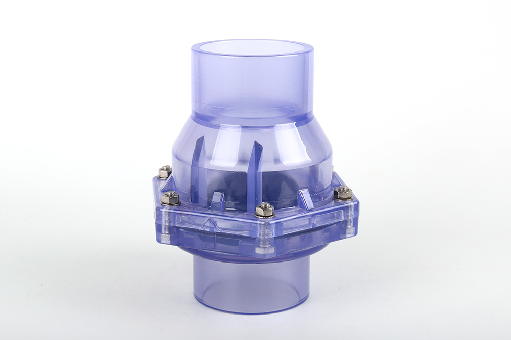 肇庆透明翻板式止回阀